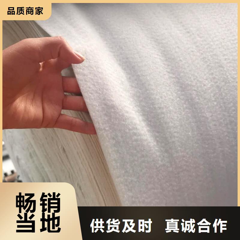 二布一膜土工布-聚酯土工布