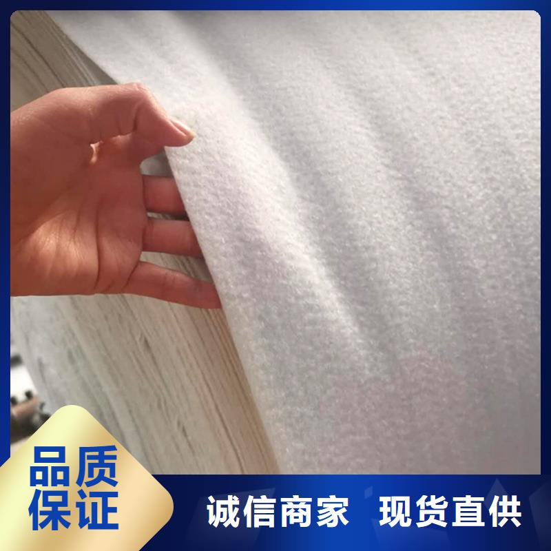 土工布_【钢塑土工格栅】工艺精细质保长久