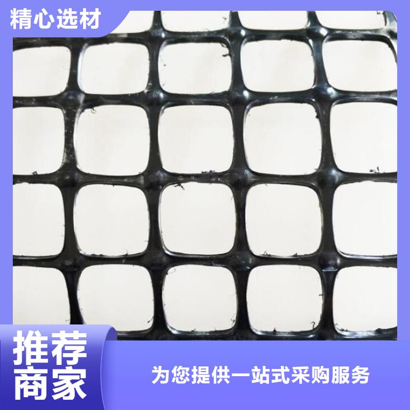 PE土工格栅全国配货