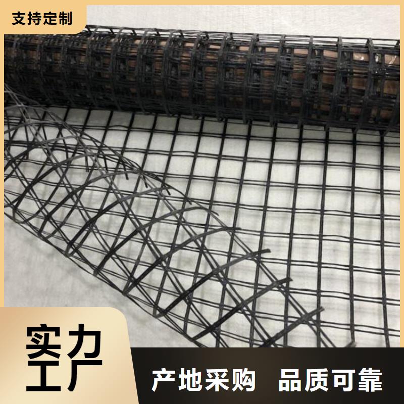 玻璃纤维土工格栅-养殖土工格栅-经编涤纶土工格栅