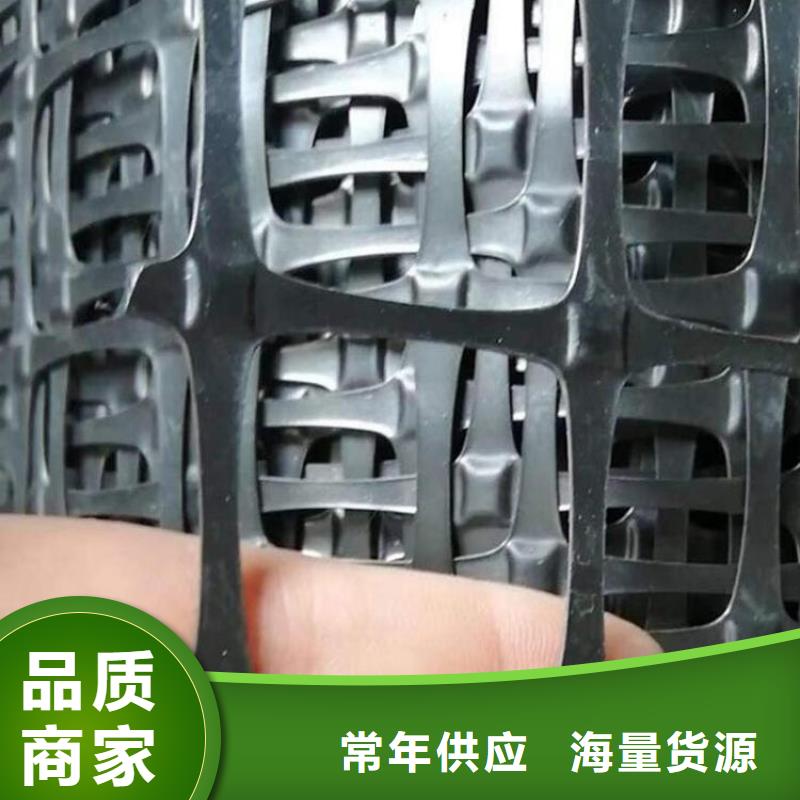 土工格栅土工膜N年大品牌
