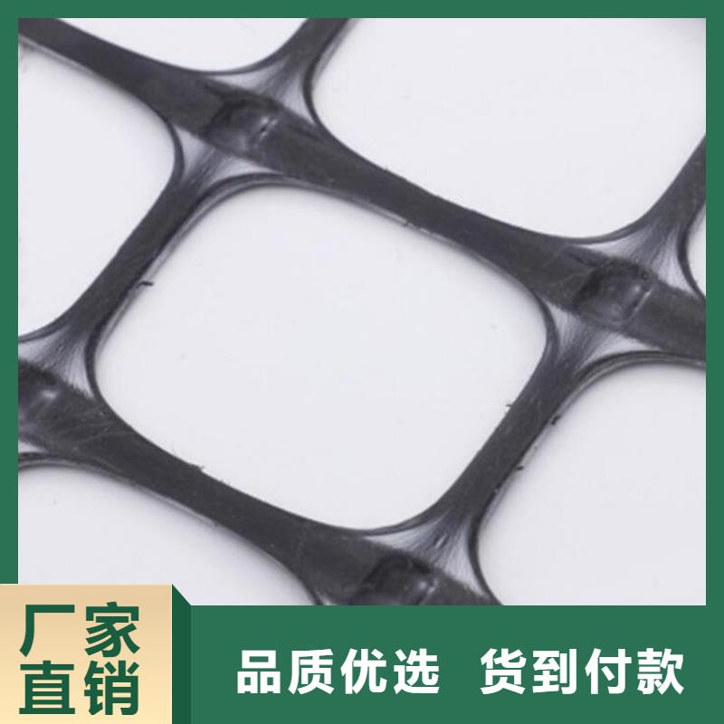 土工格栅土工膜N年大品牌