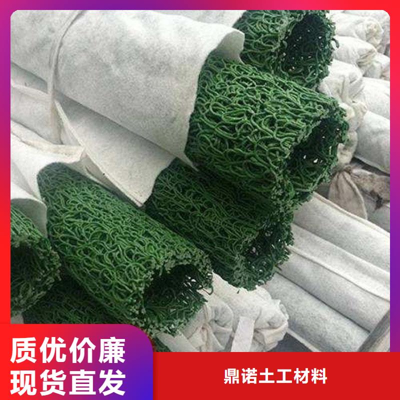 塑料盲管-渗排水盲沟