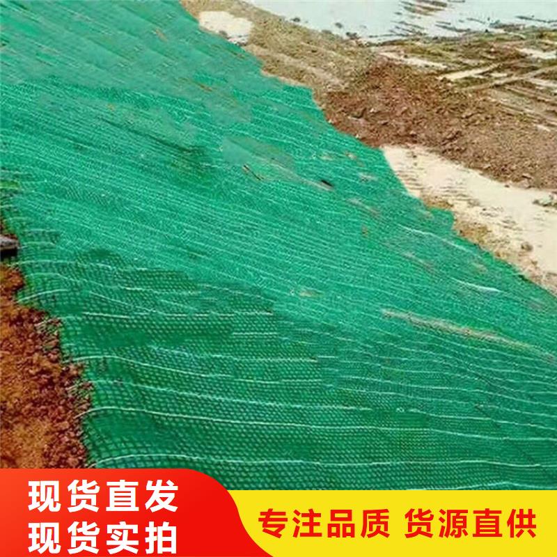 抗冲植生毯护坡绿化椰丝毯