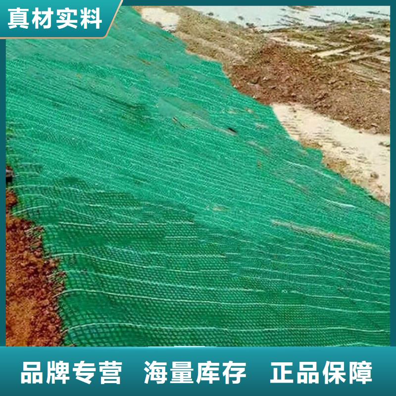 植物纤维毯-环保植草毯-抗冲椰丝毯
