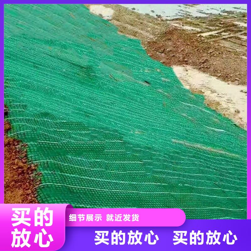 植生椰丝毯案例介绍