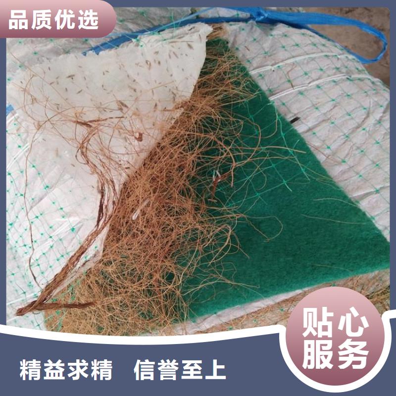 抗冲植生毯护坡绿化椰丝毯