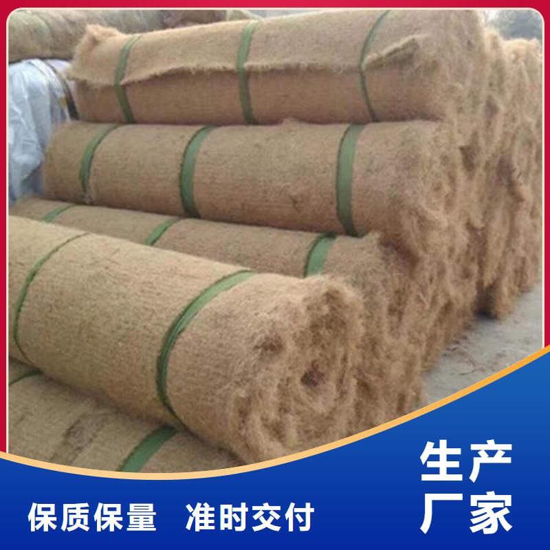 加筋抗冲生物毯现货报价