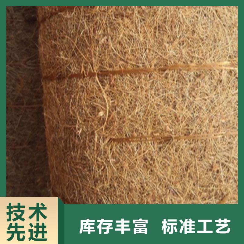 植生椰丝毯护坡植被植草毯施工新闻已更新
