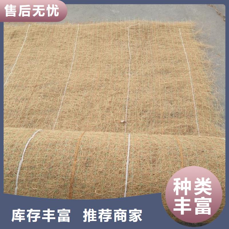椰纤植生毯加筋抗冲生态毯经销代理