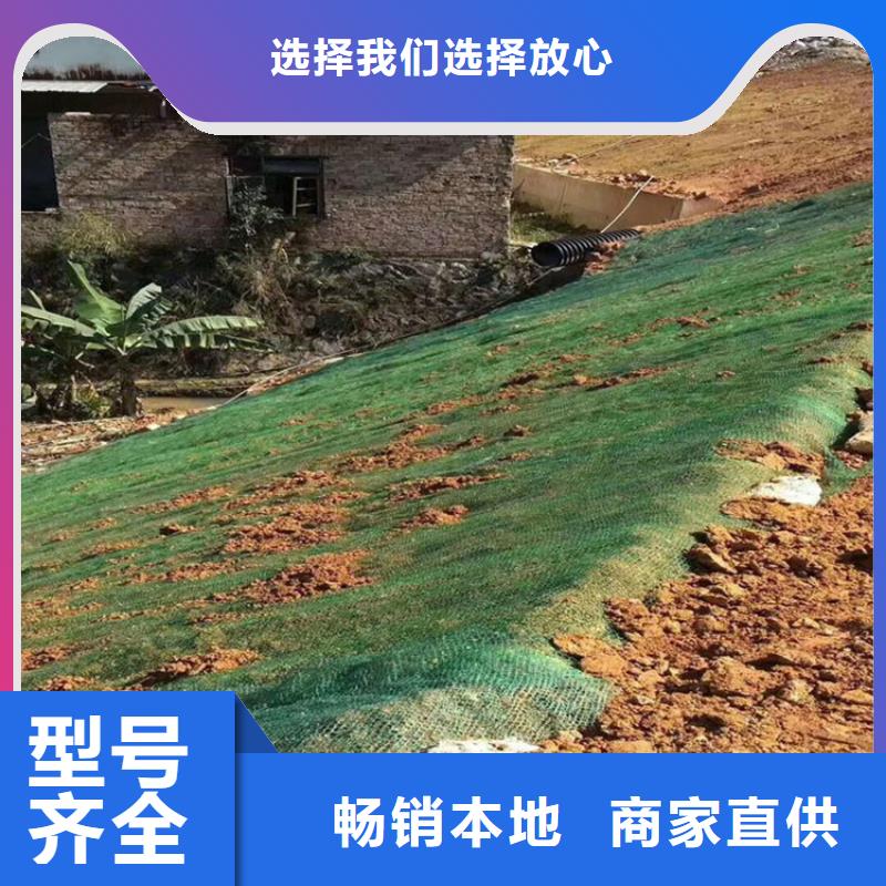 椰丝毯-纤维草毯-抗冲椰垫