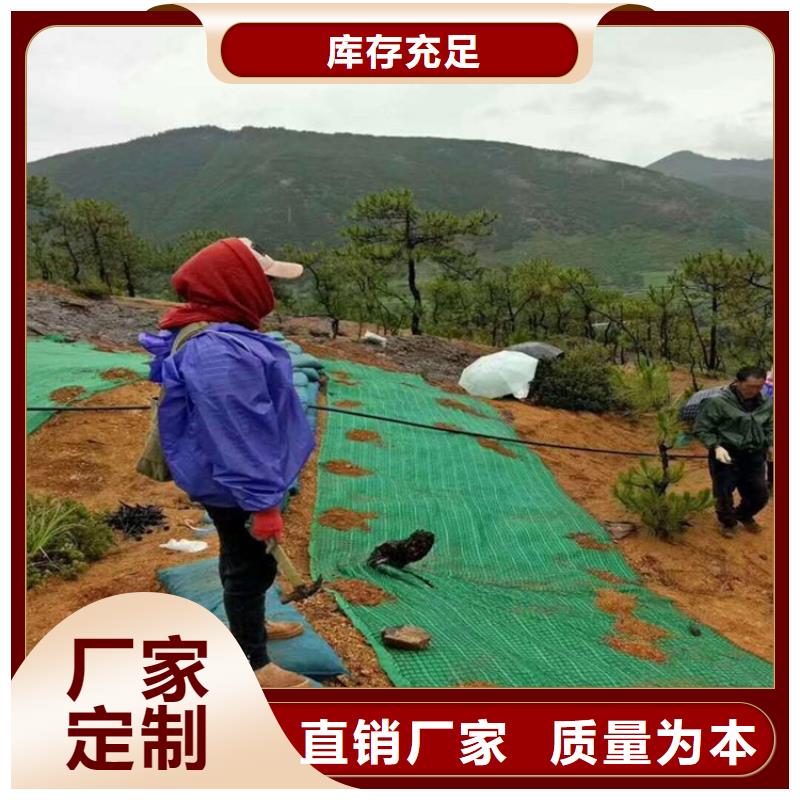 生态环保草毯-植生椰丝毯厂家-单价更新