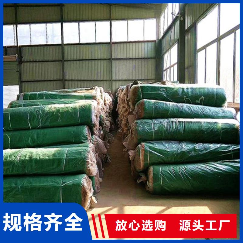 植物生态防护毯加筋抗冲生物毯产品动态