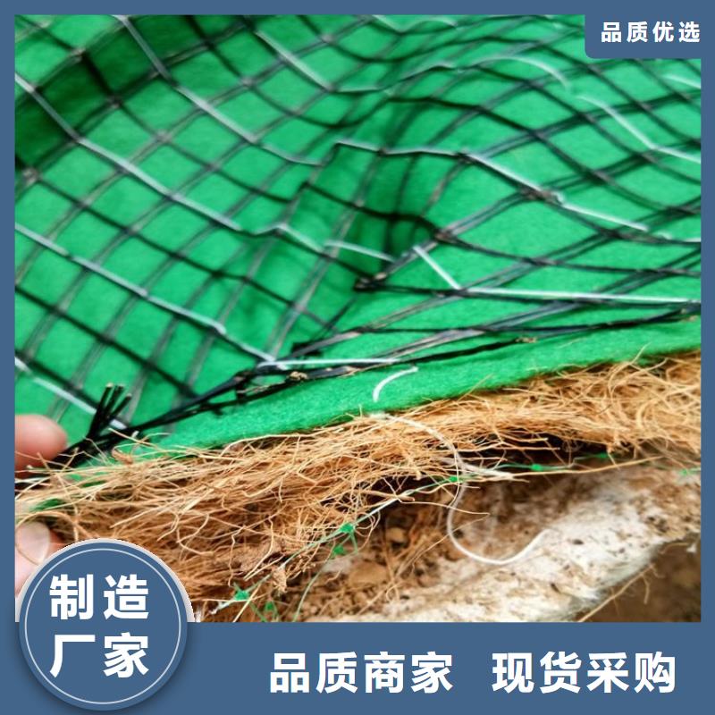 加筋植物纤维毯-椰丝植被纤维毯-抗冲植物毯