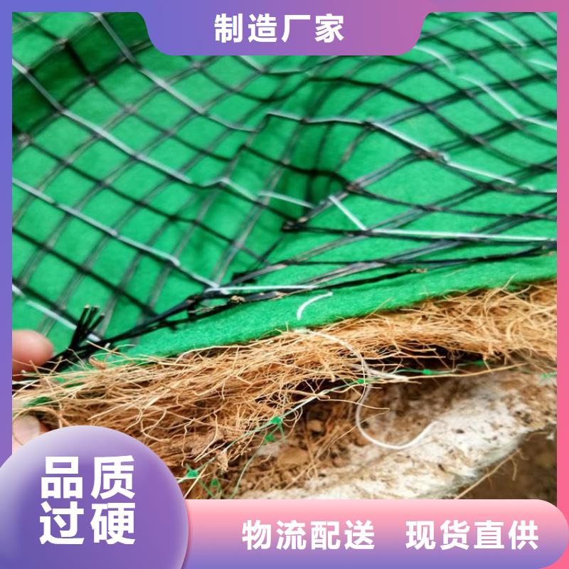 生态环保草毯-植生椰丝毯厂家-单价更新