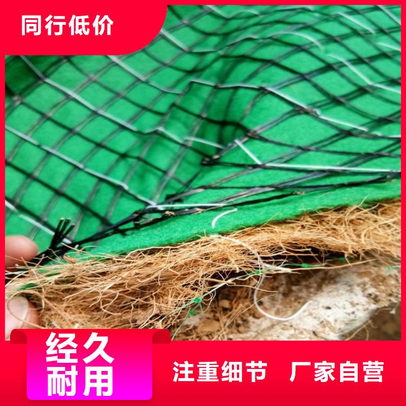 椰丝植物纤维毯-椰纤毯-固土椰丝毯