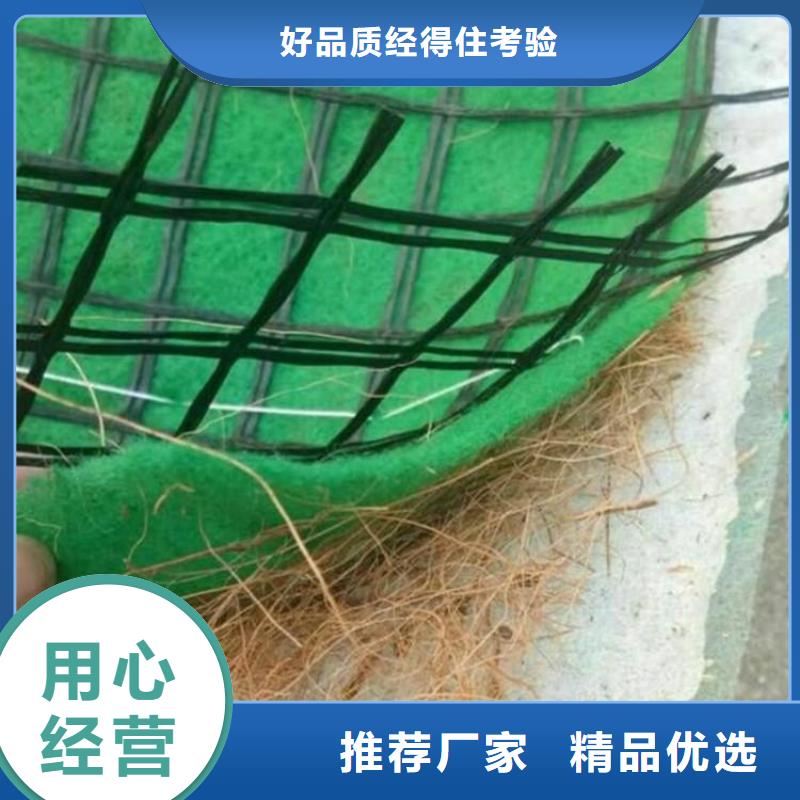 加筋抗冲生物毯现货报价