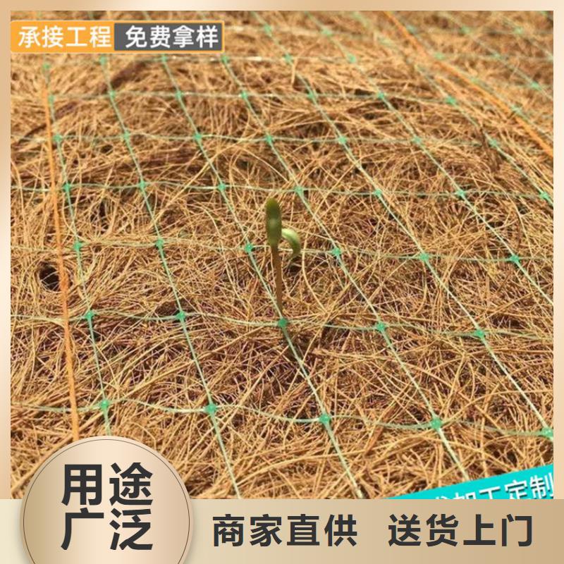 椰纤植生毯加筋抗冲生态毯经销代理