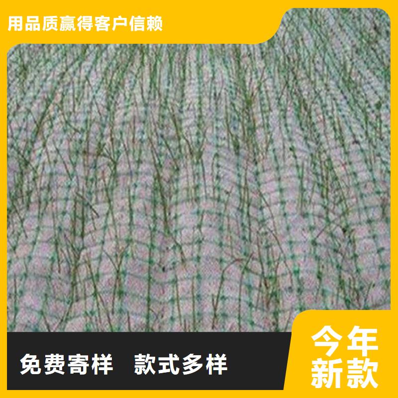 植生椰丝毯案例介绍
