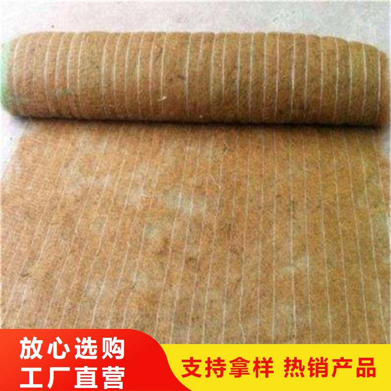 植生椰丝毯护坡植被植草毯施工新闻已更新