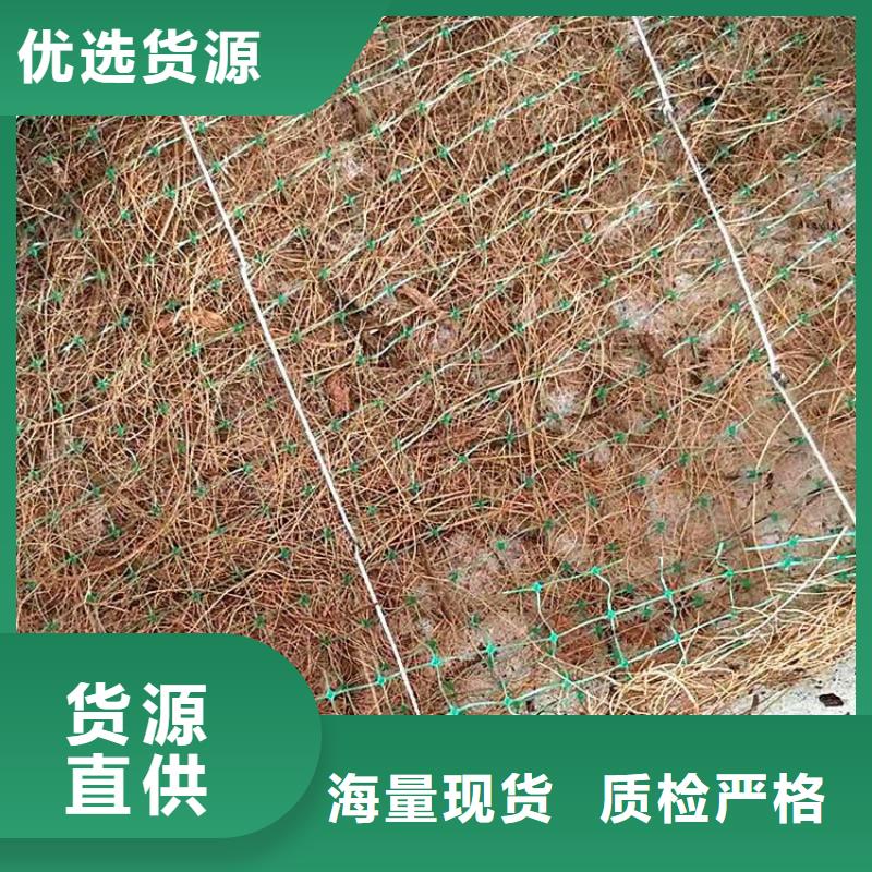 加筋植物纤维毯-椰丝植被纤维毯-抗冲植物毯