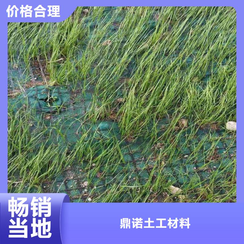 椰丝毯土工膜根据要求定制