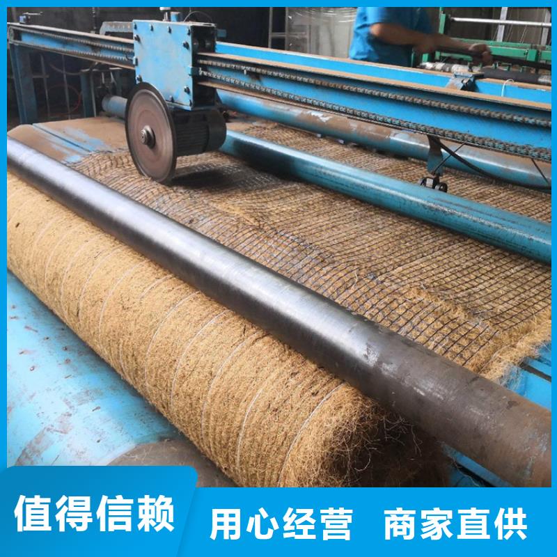 植生椰丝毯案例介绍