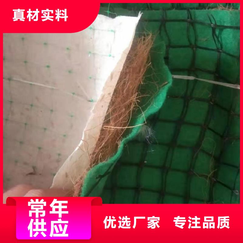 生态环保草毯-植生椰丝毯厂家-单价更新