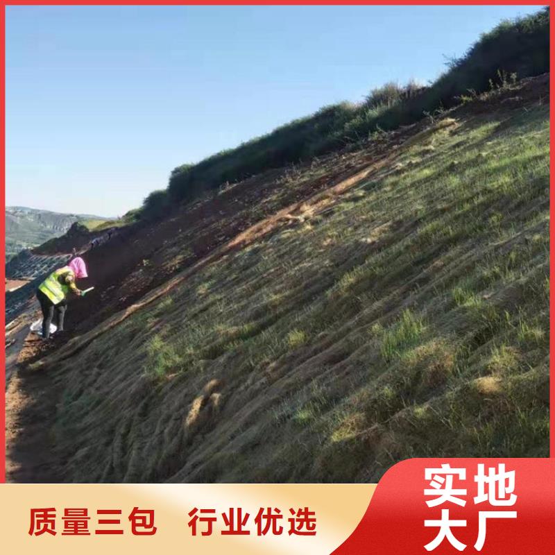 植物生态防护毯加筋抗冲生物毯产品动态