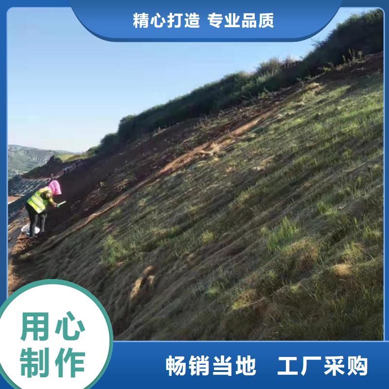 植物纤维毯