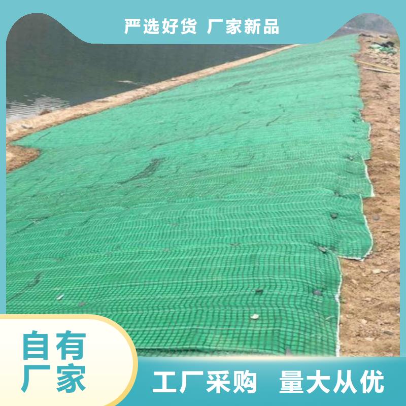 植物纤维毯