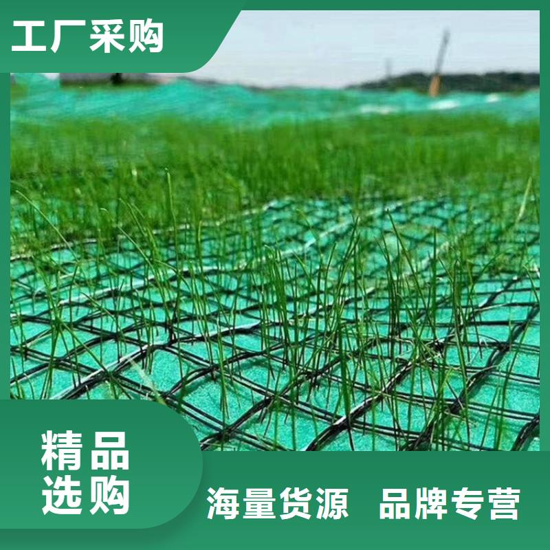 椰丝毯-纤维草毯-抗冲椰垫
