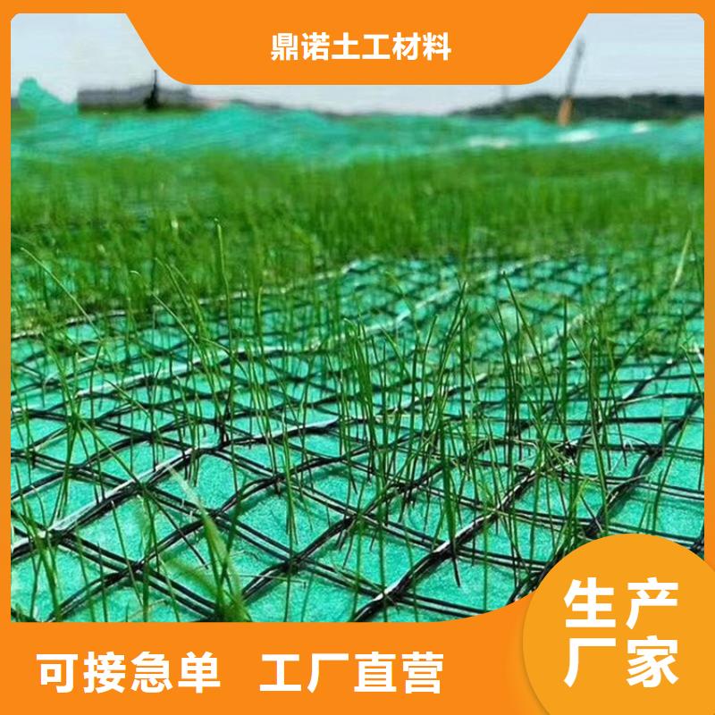 椰丝毯-纤维草毯-抗冲椰垫