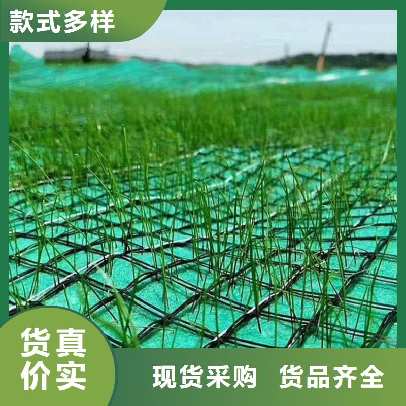 椰丝植物纤维毯-椰纤毯-固土椰丝毯