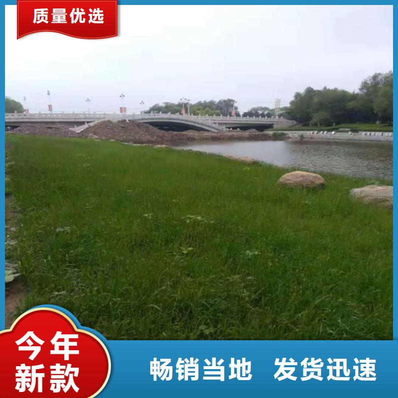 椰纤植生毯加筋抗冲生态毯经销代理