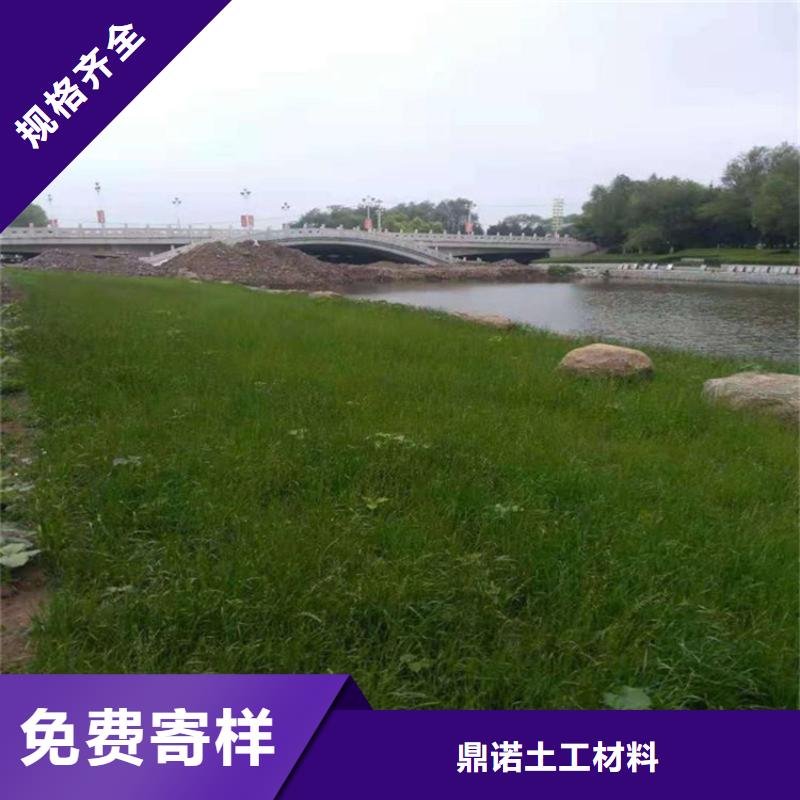 植物纤维毯