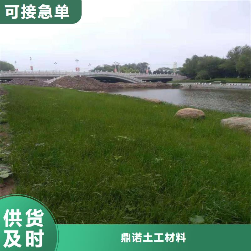 椰丝毯-纤维草毯-抗冲椰垫