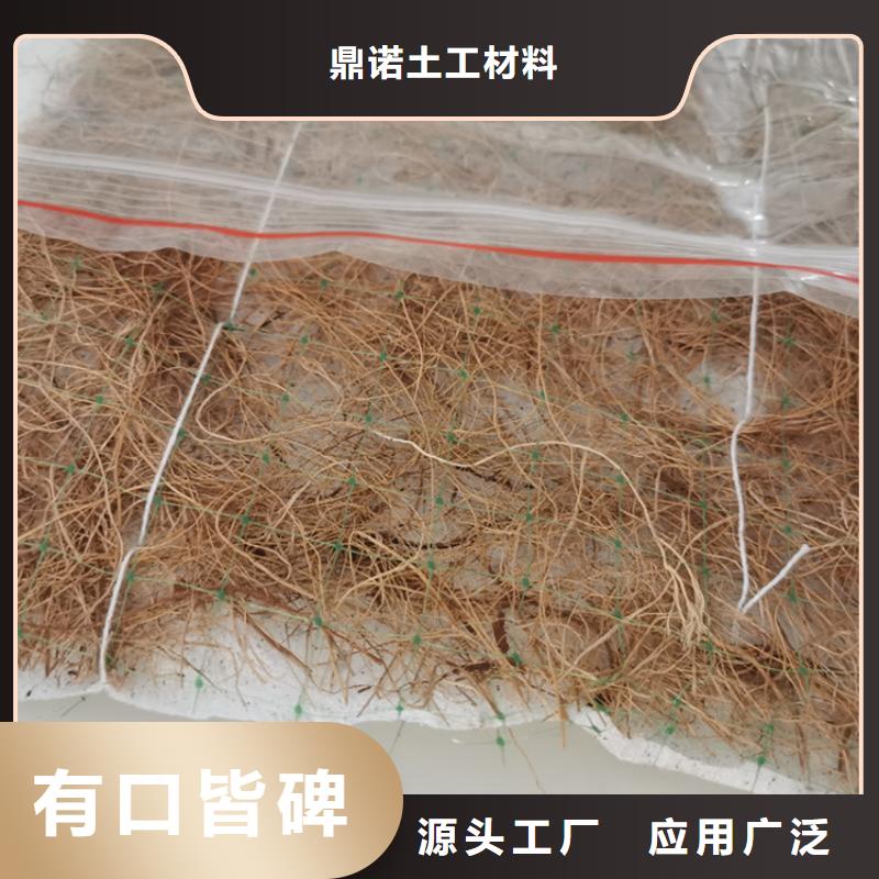 椰丝毯-纤维草毯-抗冲椰垫