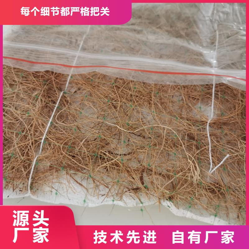 椰纤植生毯加筋抗冲生态毯经销代理