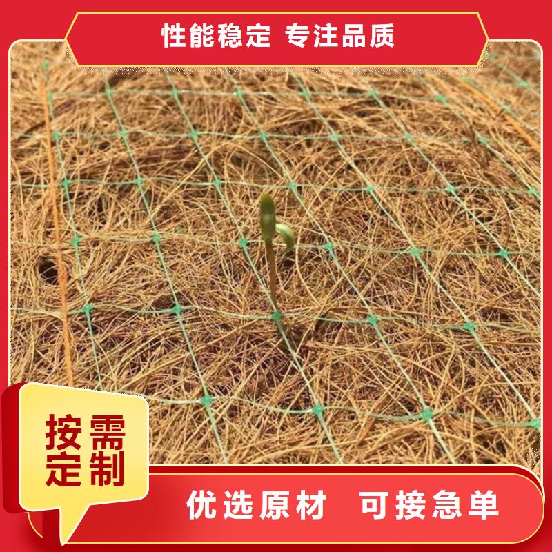 椰纤植生毯加筋抗冲生态毯经销代理