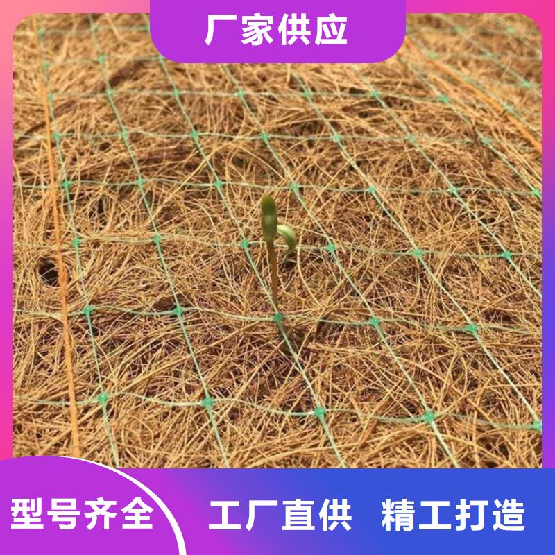植物纤维毯