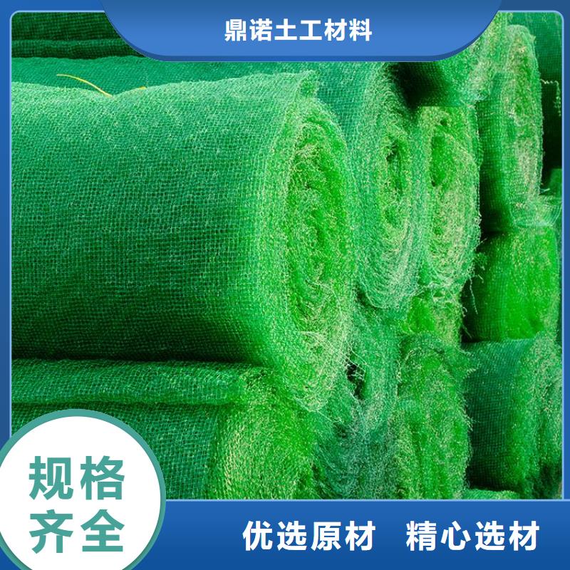 三维土工网垫-EM4三维护坡植草网垫