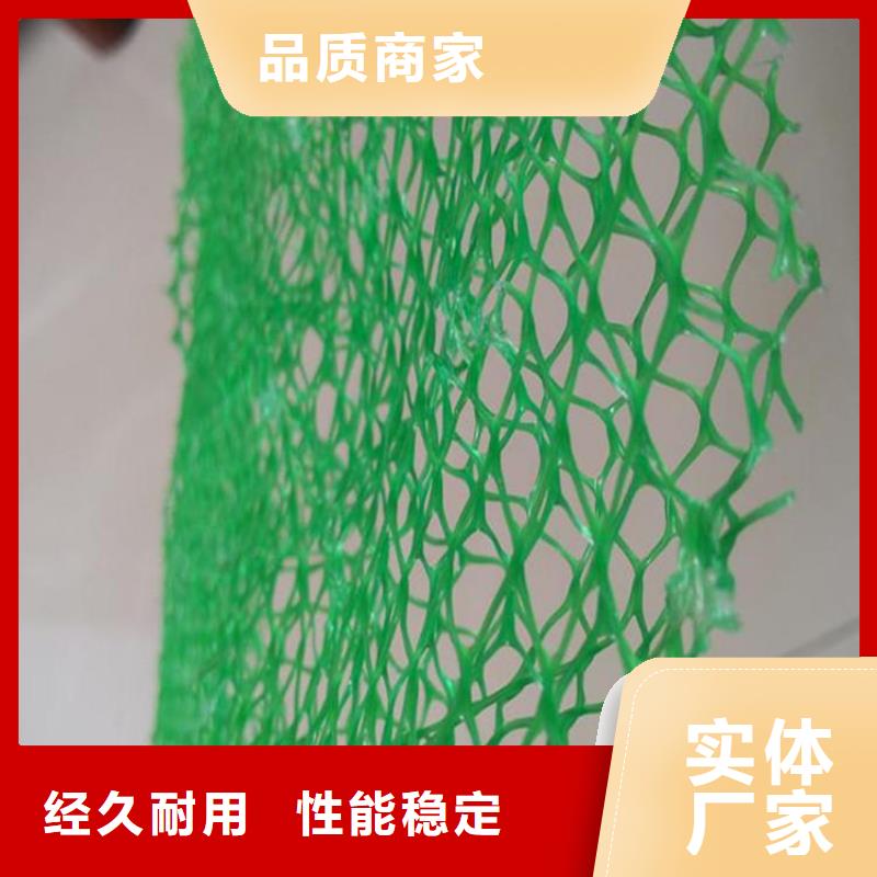 三维植被网-三维加筋网垫