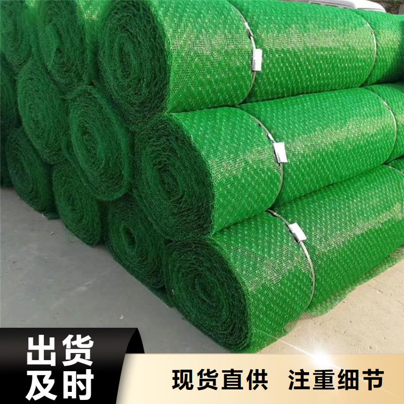 三维植被网【生态带】实拍展现