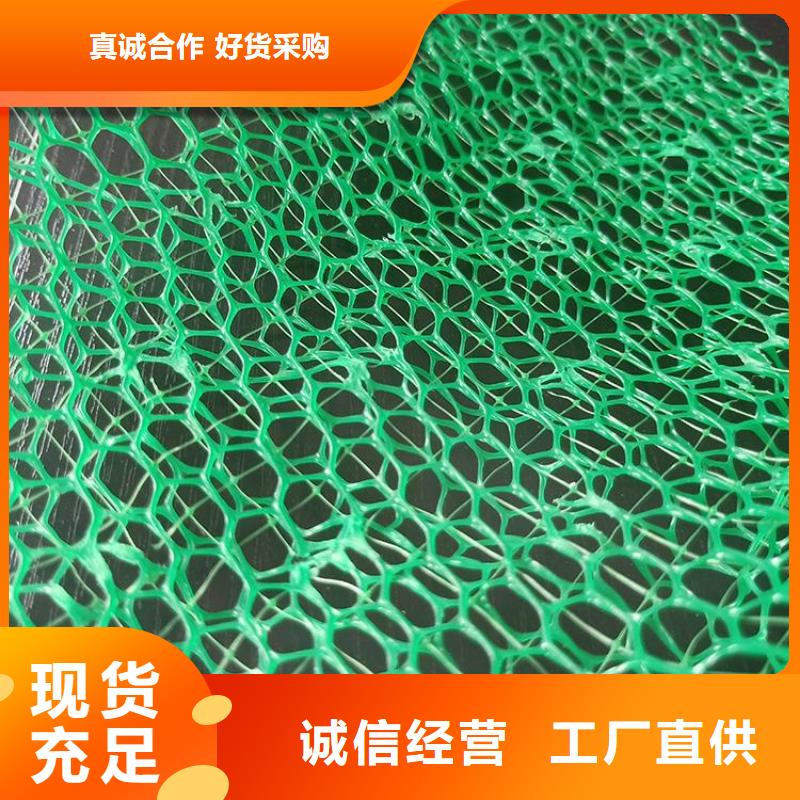 固土边坡三维固土网垫