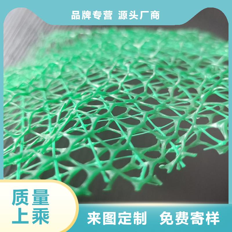 三维土工网垫-EM4三维固土网垫