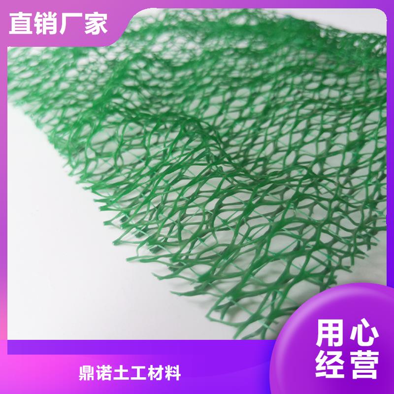 三维土工网垫-三维护坡网垫
