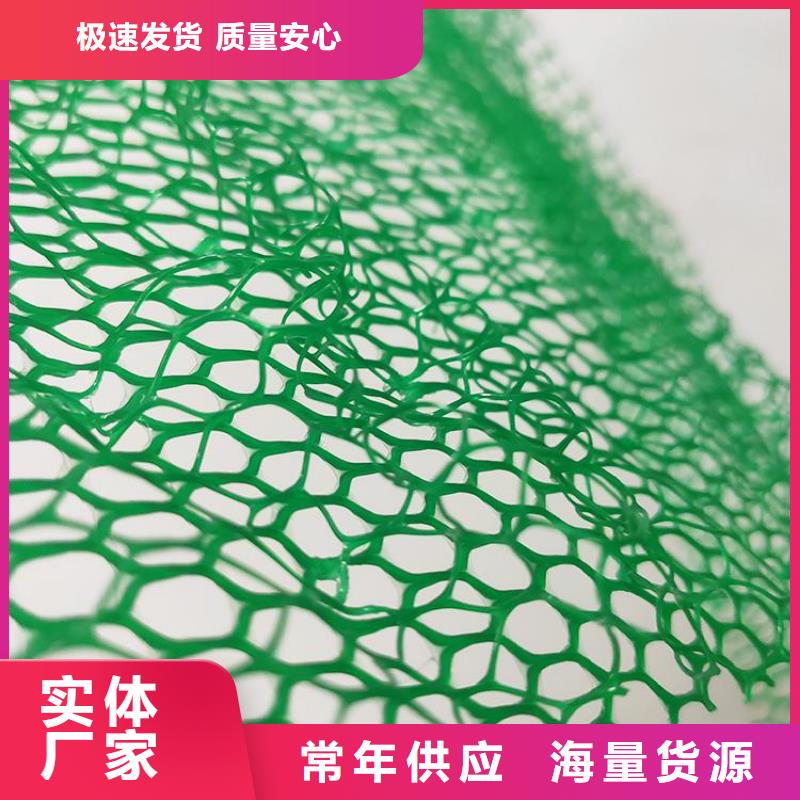EM4三维固土网垫-EM3三维土工网垫
