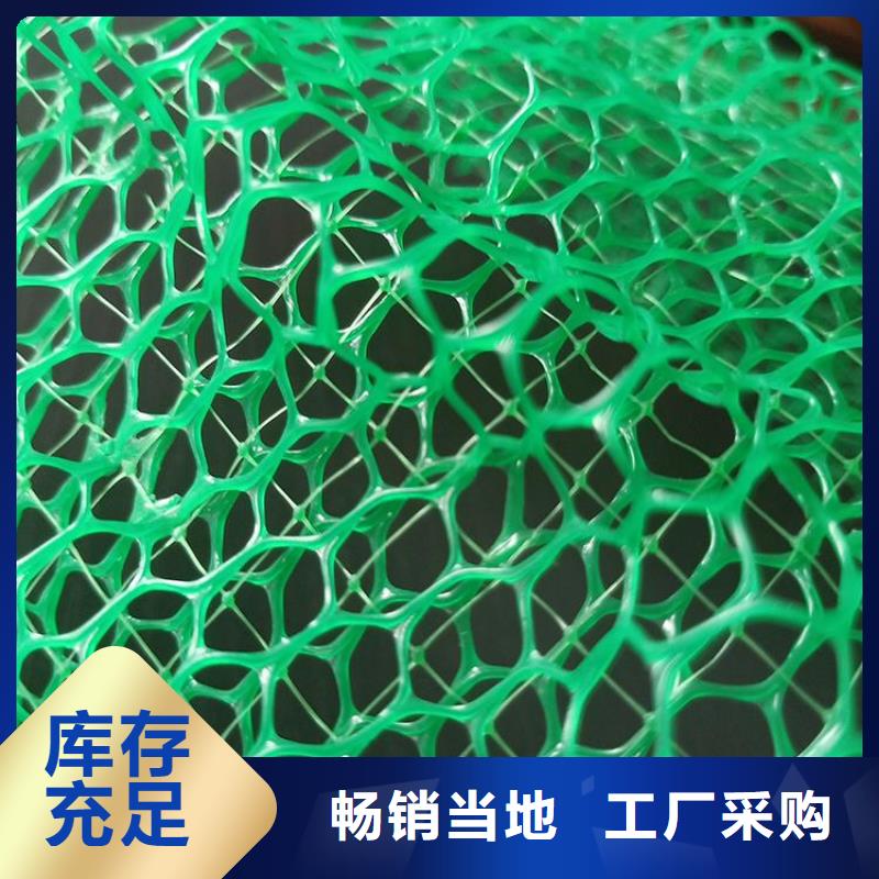 三维土工网垫-三维护坡网垫
