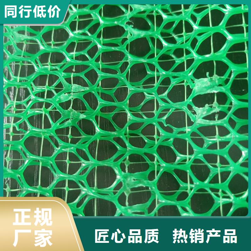 EM5三维加筋网垫厂家批发